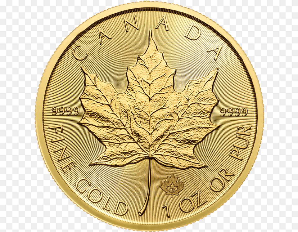 Oz Maple Leaf Gold Coin Front, Plant Png Image