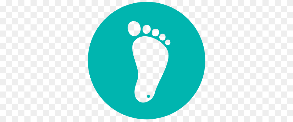 Oz Newborn Screening Tools Oz Systems, Home Decor, Turquoise, Green Free Transparent Png