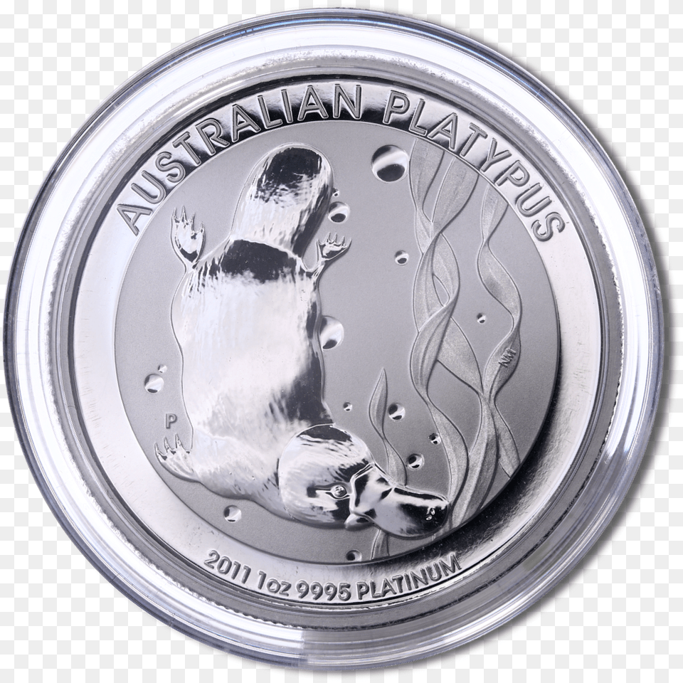 Oz Platypus Platin Coin Capsule Silver, Money, Adult, Bride, Female Free Png Download