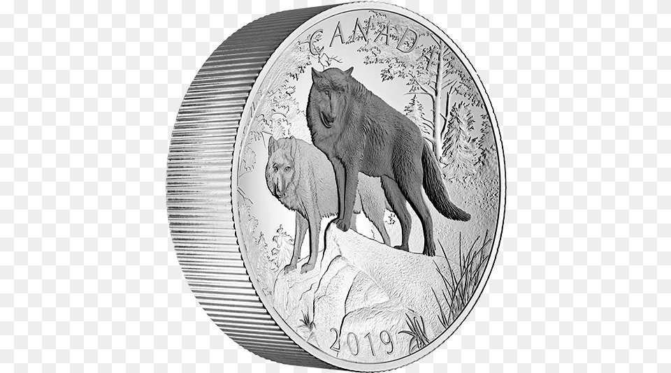 Oz Pure Silver Double Concave Coin Wolves Natures Grandeur Foal, Money, Animal, Mammal, Bear Free Transparent Png