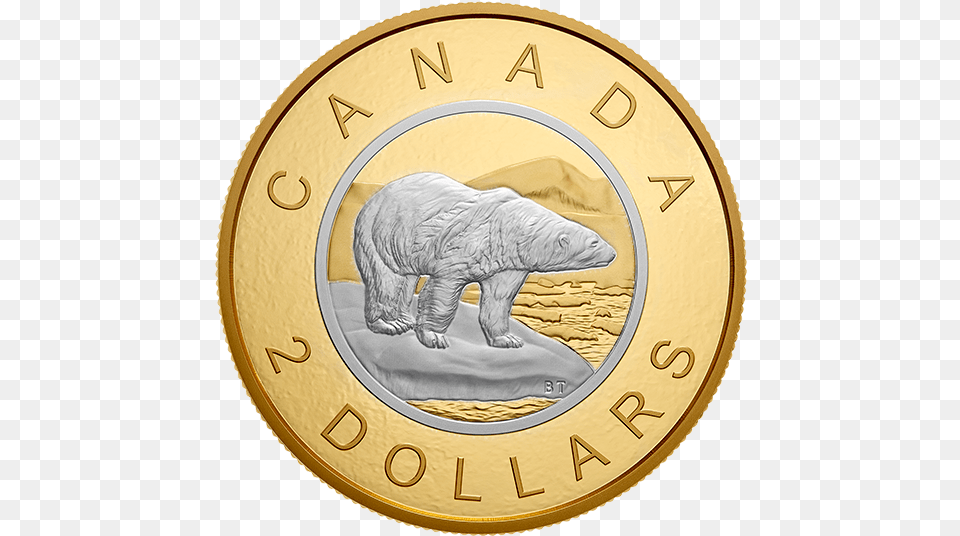 Oz Pure Silver Reverse Gold Plating Coin Big Coin Series Big Gold Canadian Coin, Animal, Bear, Mammal, Wildlife Png