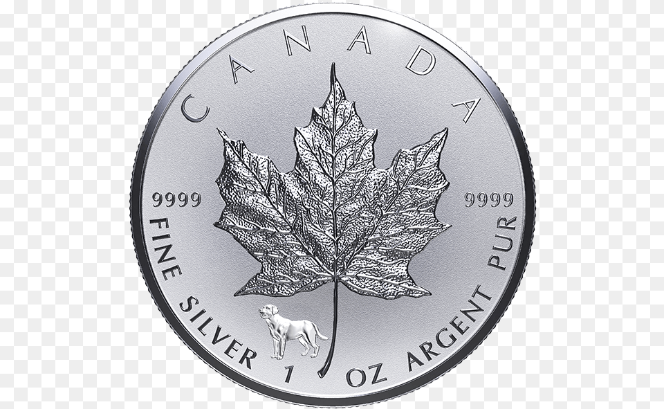 Oz Silver Coin, Plant, Leaf, Pet, Mammal Free Png