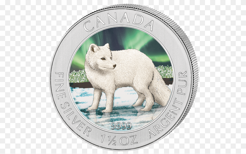 Oz Silver Coin Coin, Animal, Bear, Mammal, Wildlife Free Transparent Png