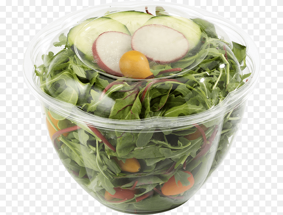 Oz World Centric Clear Salad Bowl Salad Bowl, Arugula, Food, Leafy Green Vegetable, Plant Free Png Download