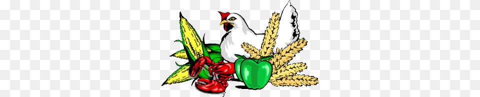 P Agriculture, Animal, Bird, Food Png