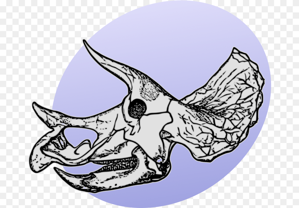 P Dinosaurs Pl Triceratops Skeleton, Accessories, Art, Animal, Fish Free Png