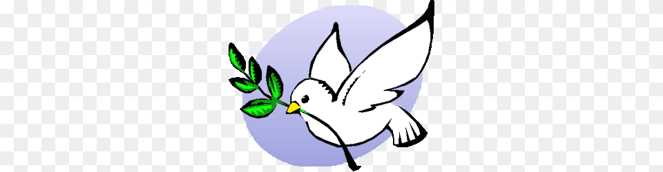 P Dove Peace, Leaf, Plant, Herbal, Herbs Png Image