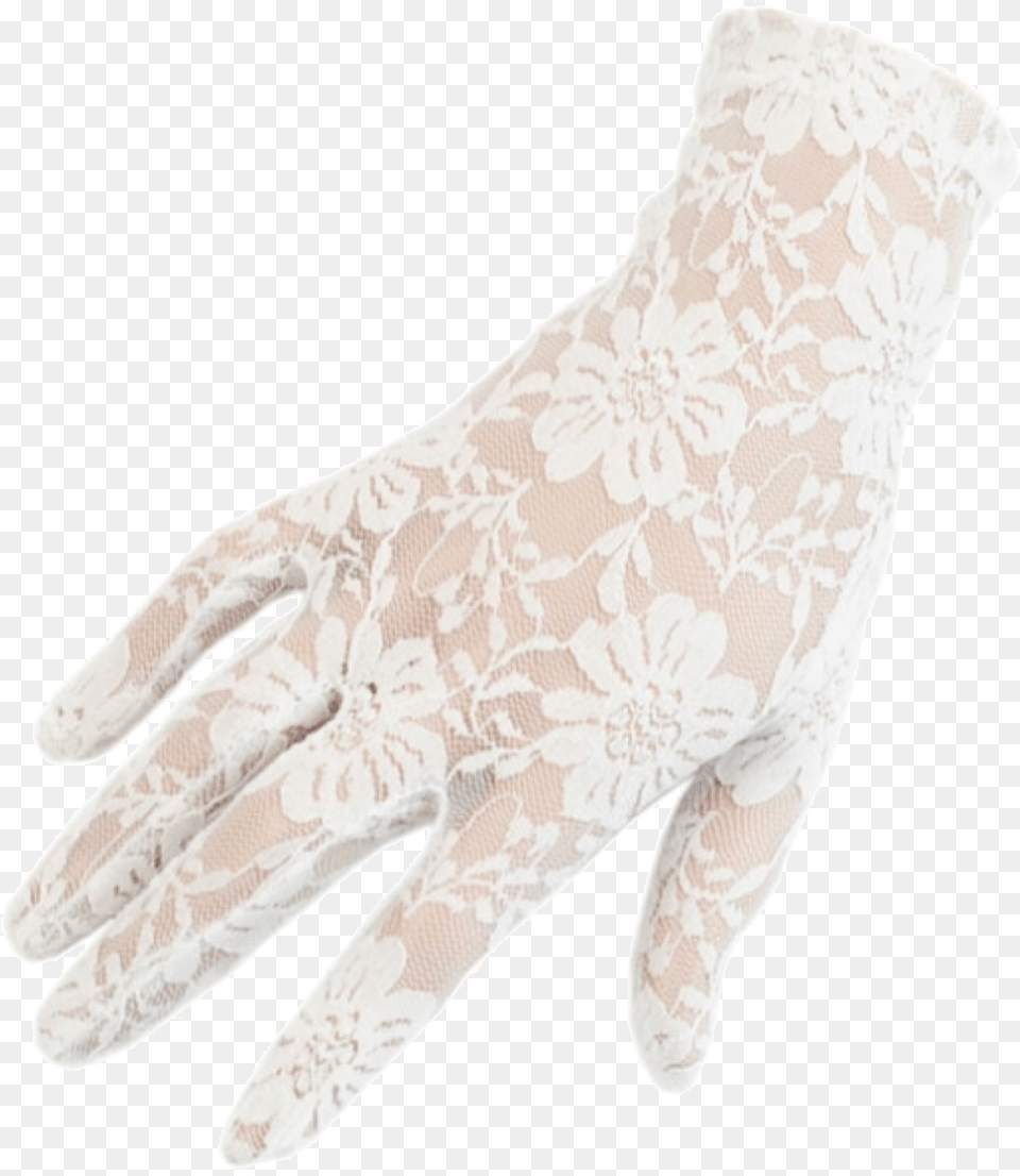 P I N T E R S Love Dai Lace Gloves Ivory White Lace Gloves, Clothing, Glove Png Image