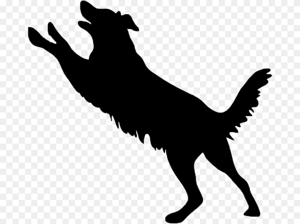 P P B St John, Silhouette, Person, Animal, Coyote Free Png Download