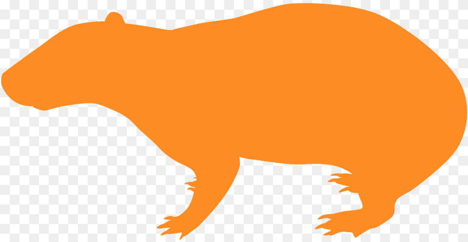 Paca Silhouette, Animal, Mammal, Rodent, Bear Free Transparent Png