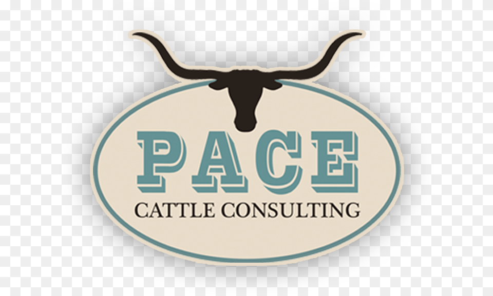 Pace Cattle Consulting Longhorn Icon, Animal, Livestock, Mammal, Bull Free Png Download