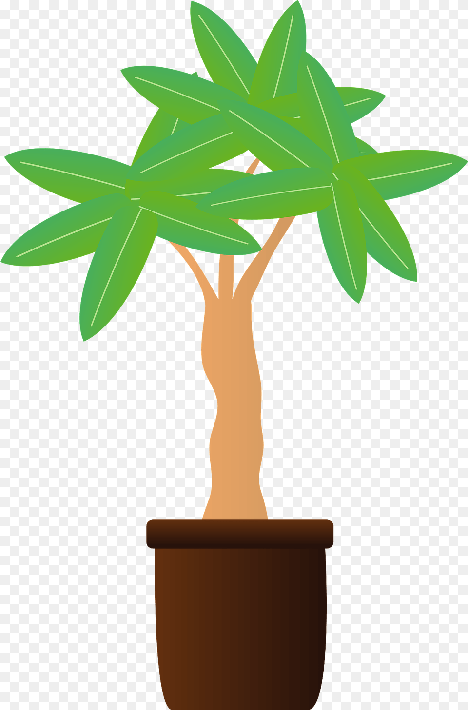 Pachira Tropical Tree Clipart, Leaf, Palm Tree, Plant, Potted Plant Png Image