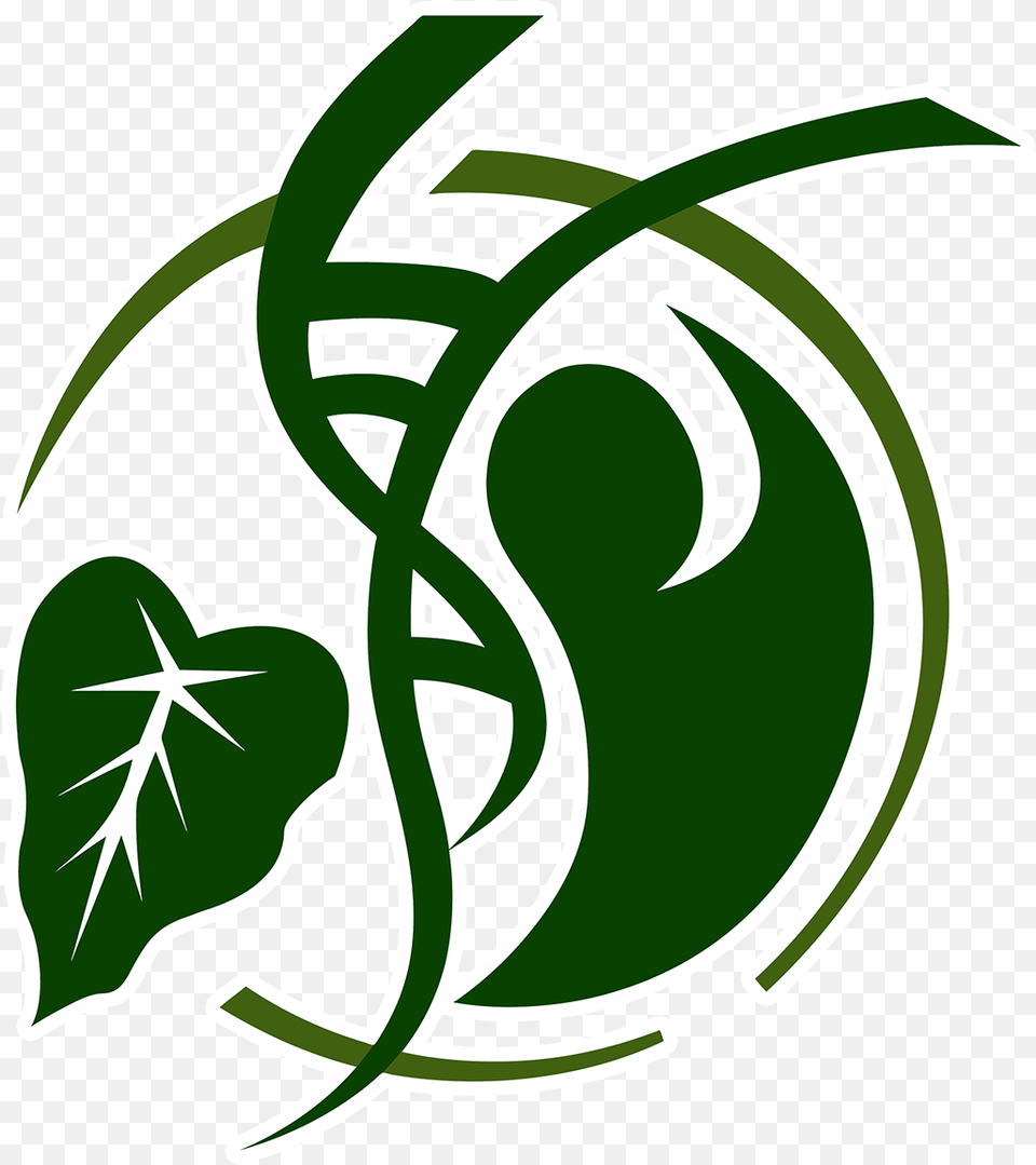 Pacific Biosciences Research Center Logos Logo Image Without A Background, Herbal, Herbs, Plant, Green Png