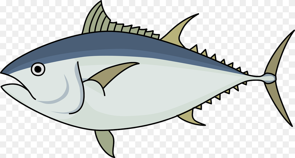 Pacific Bluefin Tuna Clipart, Animal, Bonito, Fish, Sea Life Png Image