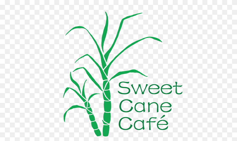 Pacific Dark Cane Cafe, Plant, Grass, Food, Produce Free Transparent Png