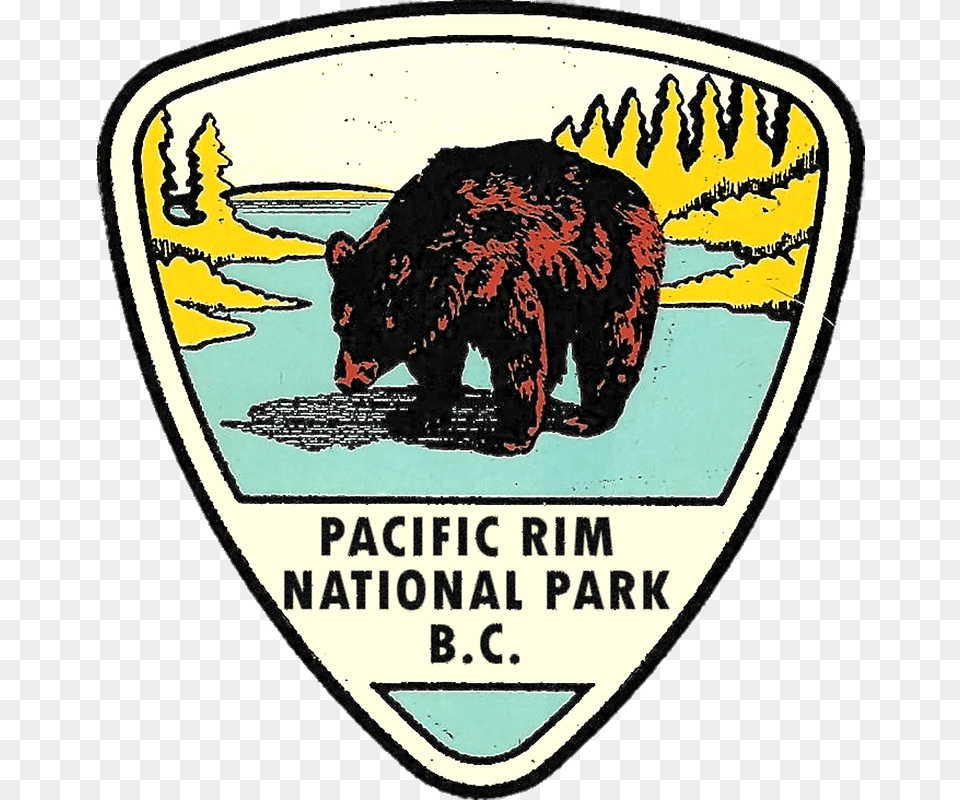 Pacific Rim National Park Drawing, Animal, Bear, Mammal, Wildlife Png