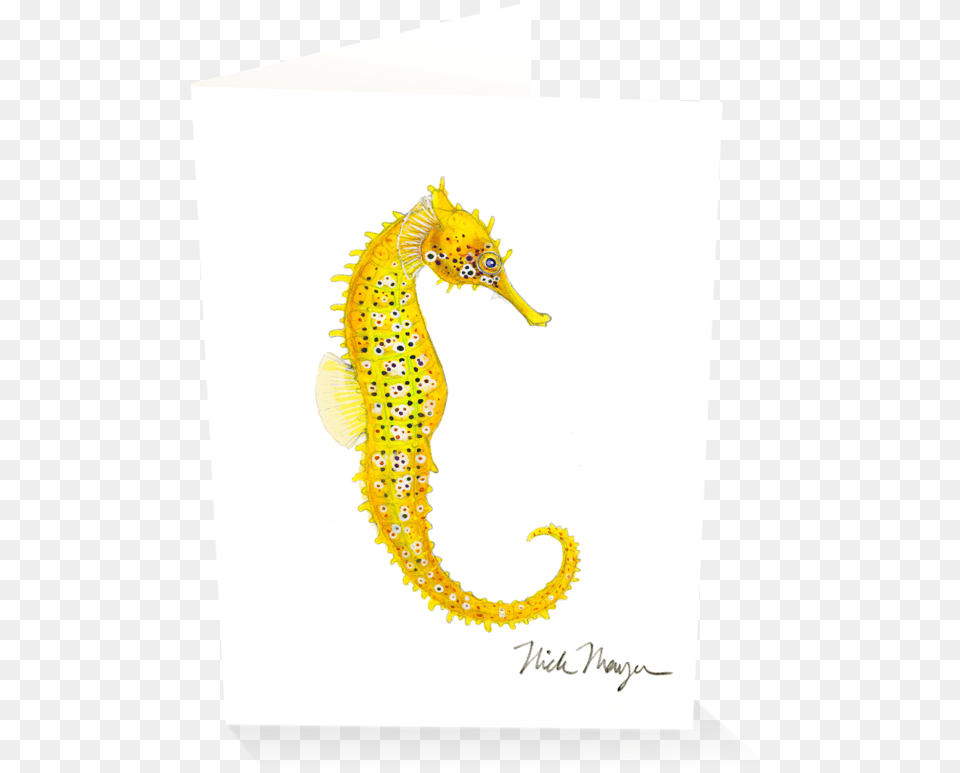 Pacific Seahorse Iii Syngnathidae, Animal, Sea Life, Mammal, Lizard Png