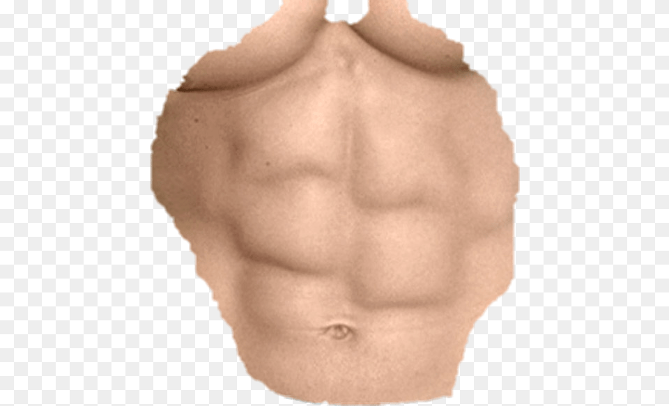Pack 6 Pack Hd, Body Part, Person, Torso, Skin Free Png