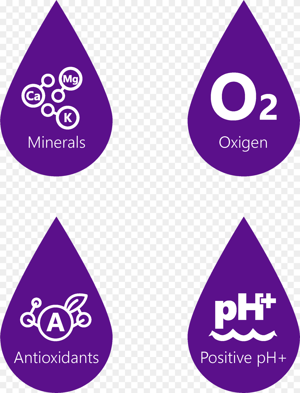 Pack Alkaline Water Filter Dot, Purple Png Image