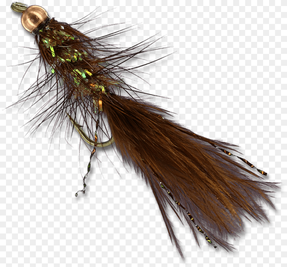 Pack Crystal Bugger Beadhead Black Streamer Fly Fishing Insect, Accessories Free Png