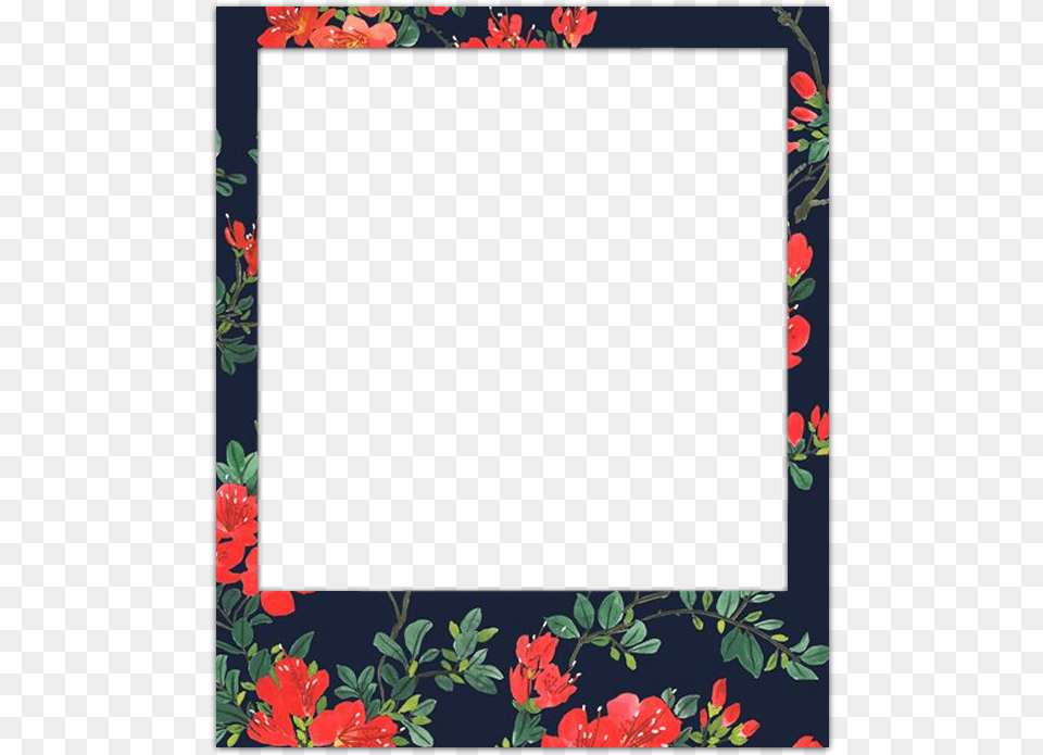 Pack De Polaroids Frame Floral, Art, Floral Design, Graphics, Home Decor Free Png Download