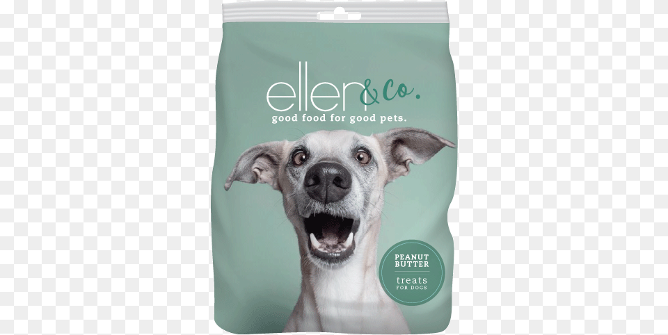 Package Design Ellen Degneres, Snout, Animal, Canine, Dog Free Png Download