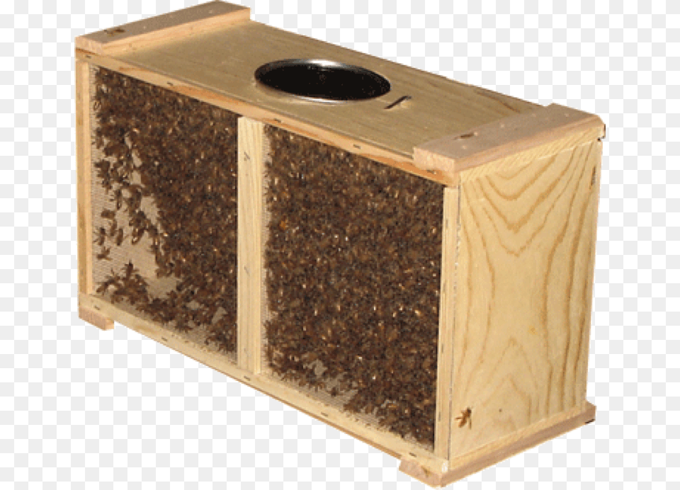 Package Of Bees, Mailbox, Animal, Bee, Insect Free Transparent Png