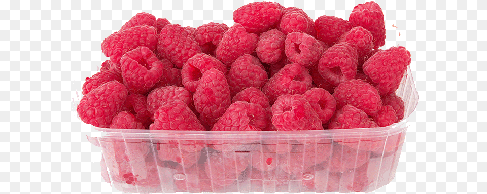 Package Of Raspberries, Berry, Food, Fruit, Plant Png Image