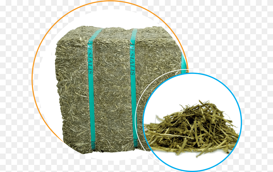 Packed In Bagged Small Bales Of 20 Kg The Alfalfa, Countryside, Nature, Outdoors, Straw Free Png