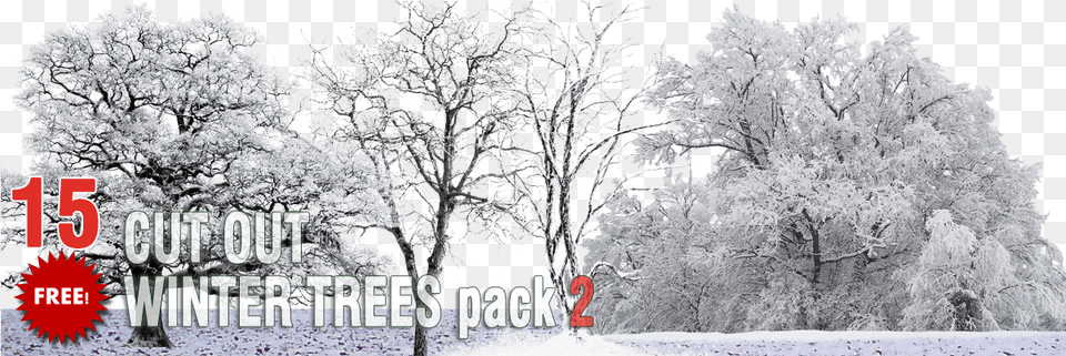 Packs Cut Out Vegetation Trees Cut Out Winter Trees Winter Trees Cut Out, Ice, Weather, Nature, Outdoors Free Png