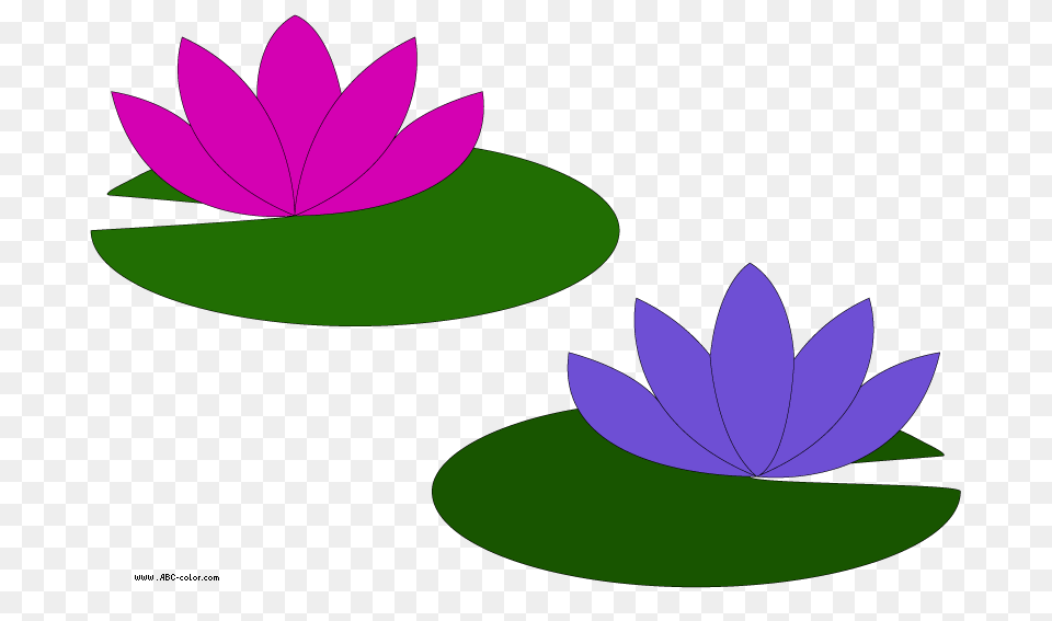 Pad Cliparts, Flower, Plant, Lily, Purple Png Image