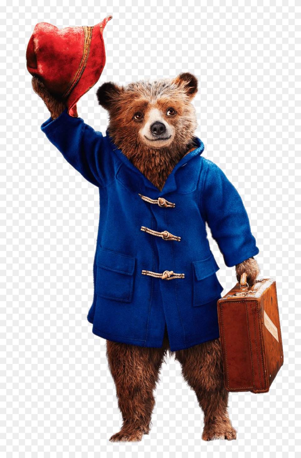 Paddington Bear In Mail Bag Transparent, Clothing, Coat, Animal, Mammal Png