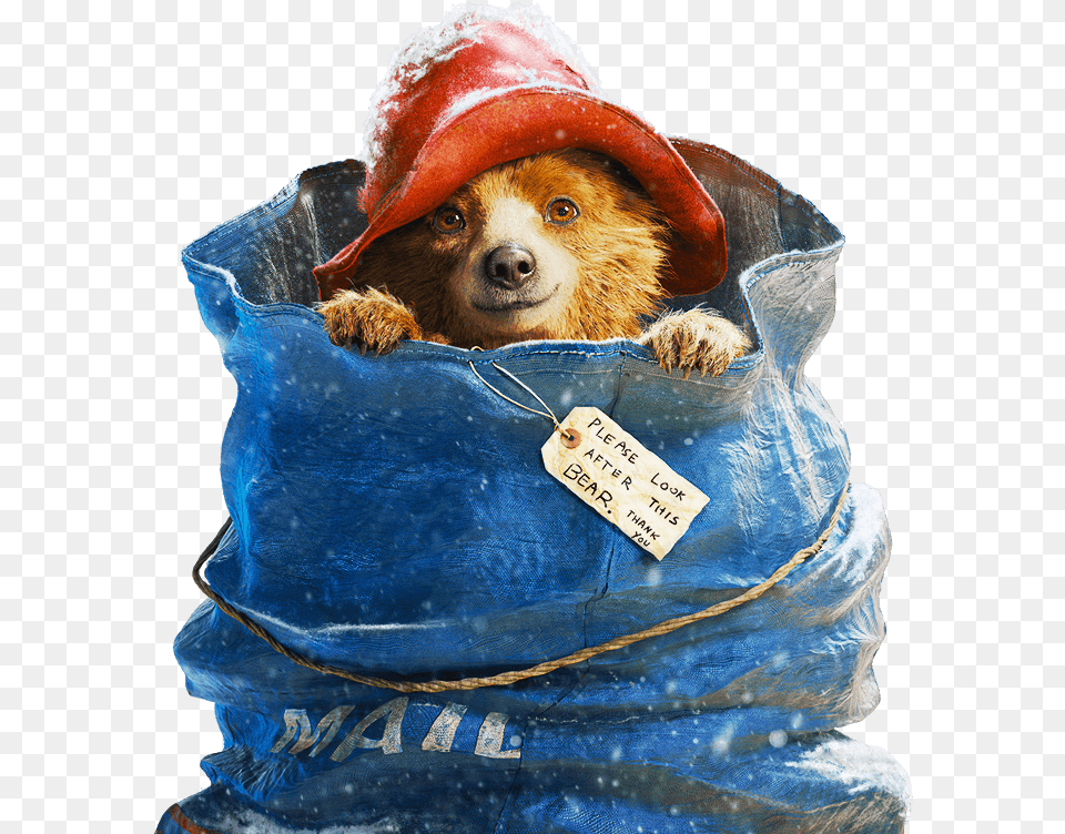 Paddington Hero Paddington Bear In A Sack, Bag, Clothing, Hat, Animal Free Png
