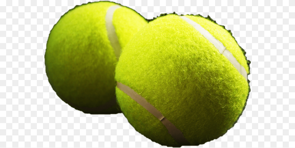 Paddle Tennis, Ball, Sport, Tennis Ball Free Png Download