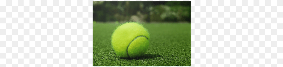 Paddle Tennis, Ball, Sport, Tennis Ball, Sphere Png Image