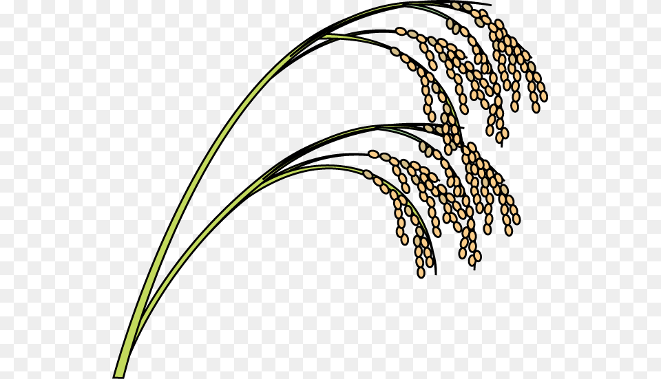 Paddy Clipart Black And White, Bow, Weapon, Food, Grain Free Png