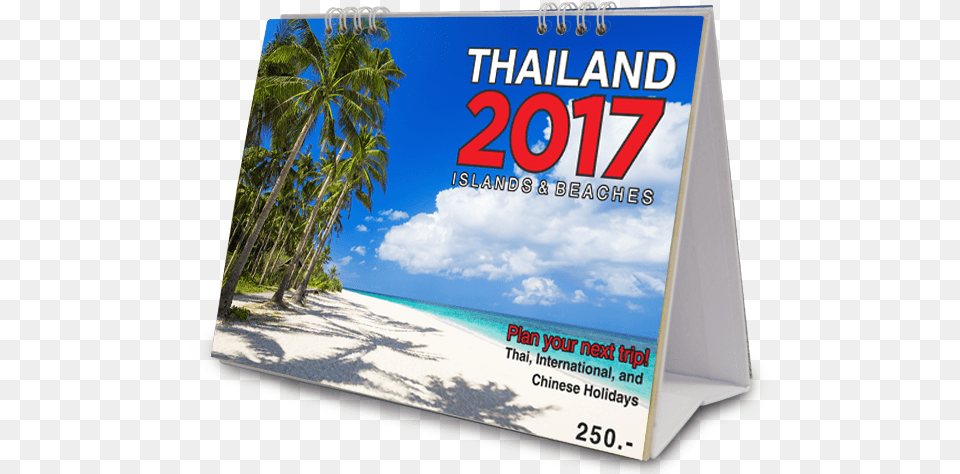 Pae Thailand, Advertisement, Summer, Plant, Tree Free Png