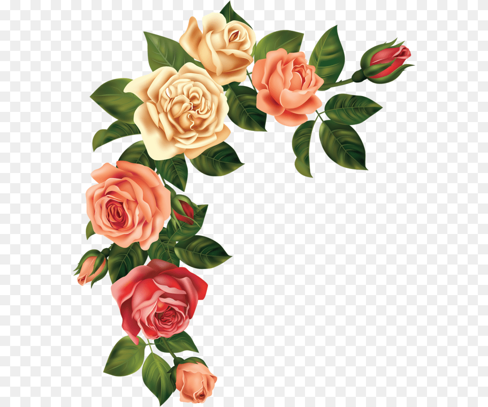 Page 83 Rose, Flower, Plant, Flower Arrangement, Flower Bouquet Free Png