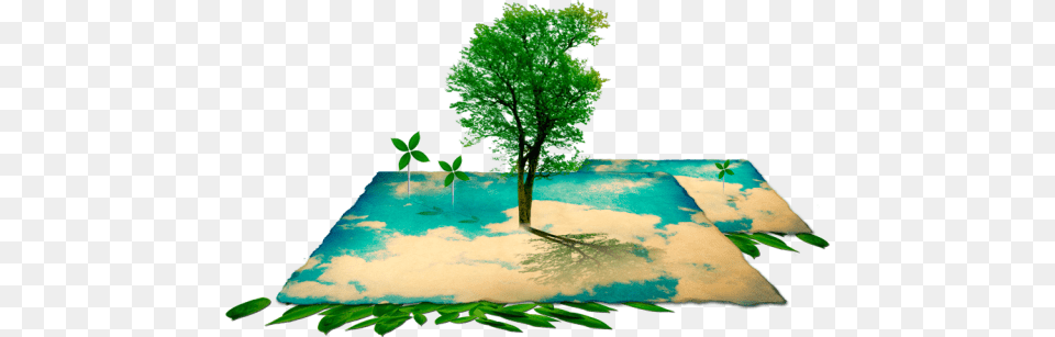 Page Anyimage, Green, Plant, Tree, Leaf Free Transparent Png
