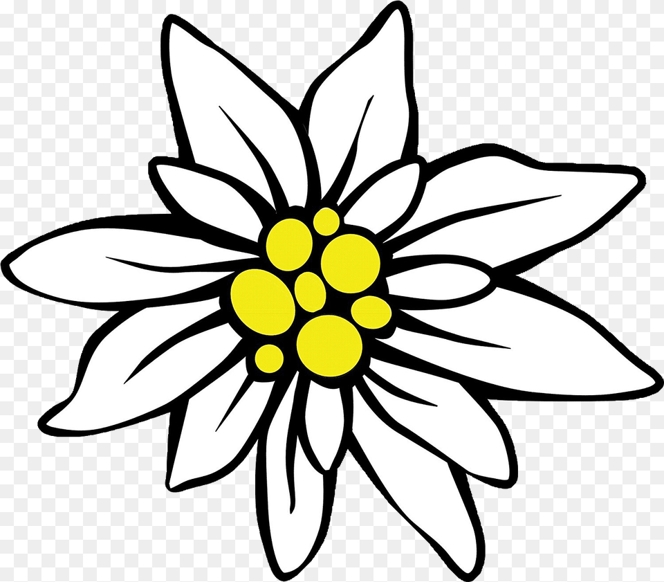 Page Divider Clipart Download Full Size Clipart Clipart Simple Edelweiss Flower Drawing, Dahlia, Daisy, Plant, Stencil Png