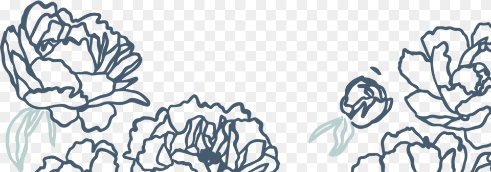 Page Footer Petals Sketch, Animal, Sea Life, Sea, Reef Free Png Download