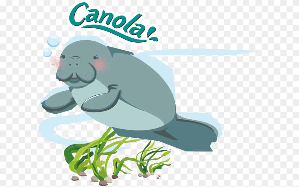 Page Not Found, Animal, Mammal, Face, Head Png