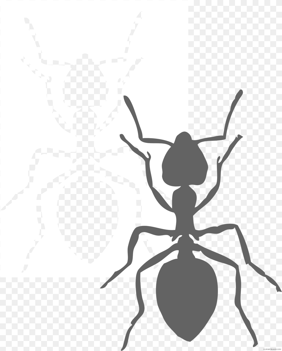 Page Of Clipartblack Com Black And White Big Ant Clipart Black And White, Animal, Insect, Invertebrate, Spider Png