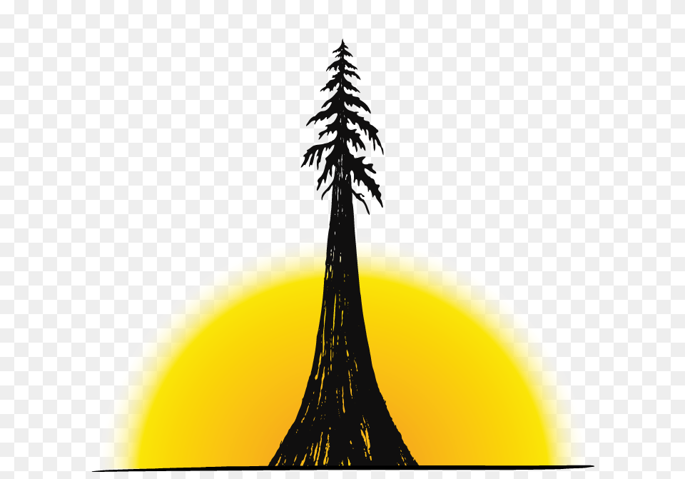 Pagelines Logo Notext Tall Tree Music Festival, Fir, Plant, Silhouette, Lighting Png Image