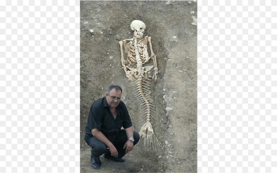 Pago Bay Resident Finds Mermaid Skeleton On His Property Man Found A Mermaid In Florida, Adult, Male, Person, Bride Free Transparent Png