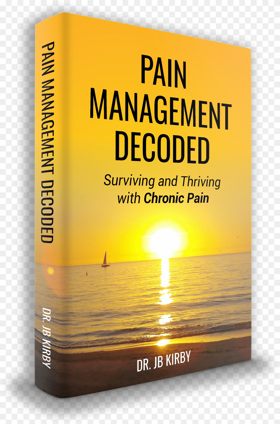 Pain Management Decoded By Dr Jb Kirby Wealth Distribution In America 2011, Book, Novel, Publication, Boat Png Image
