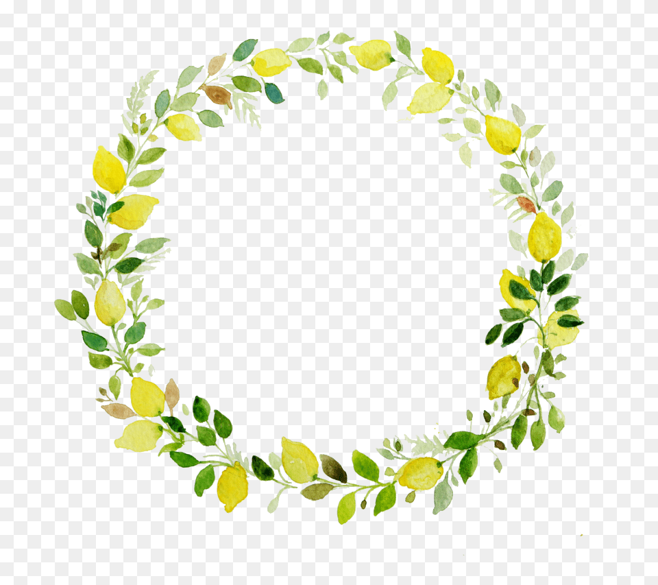 Paint A Basic Leaf With Watercolors Transparent Flower Wreath, Art, Floral Design, Graphics, Herbal Free Png