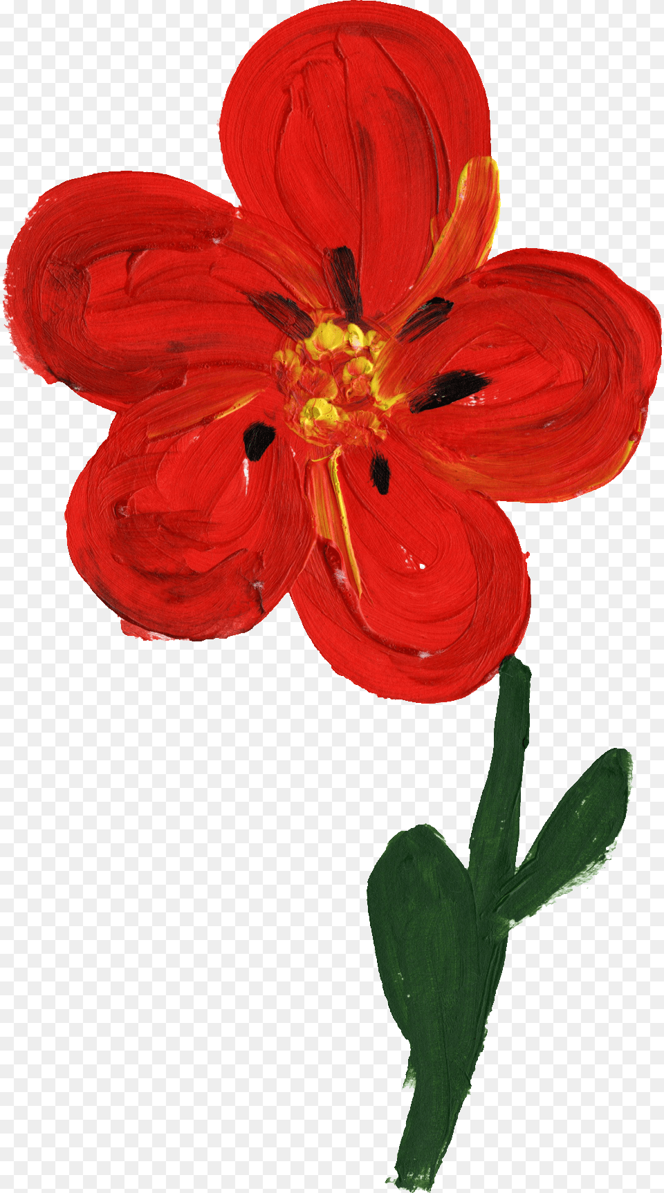 Paint A Simple Red Flower, Geranium, Petal, Plant, Anther Png Image