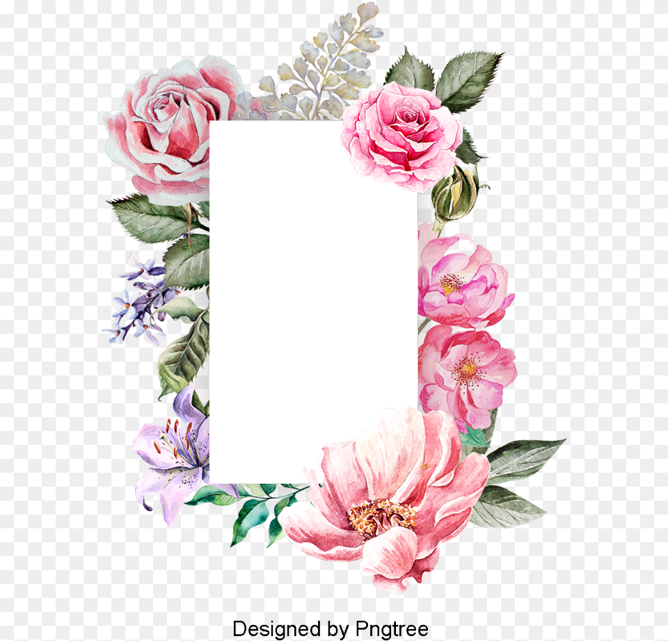 Paint Border Flower Vector Frame, Plant, Rose, Art, Flower Arrangement Png