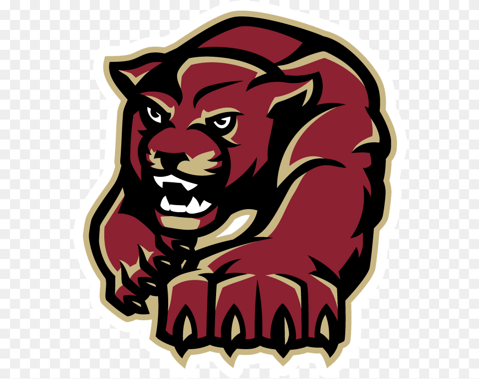 Paint Branch Panthers, Baby, Person, Face, Head Png Image